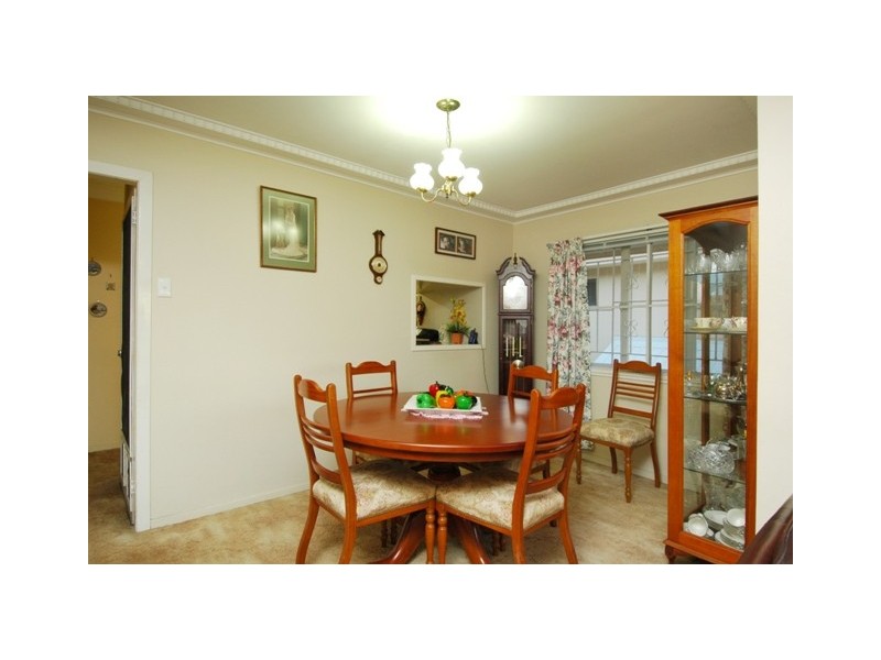 37 Crucis Street, Coorparoo QLD 4151