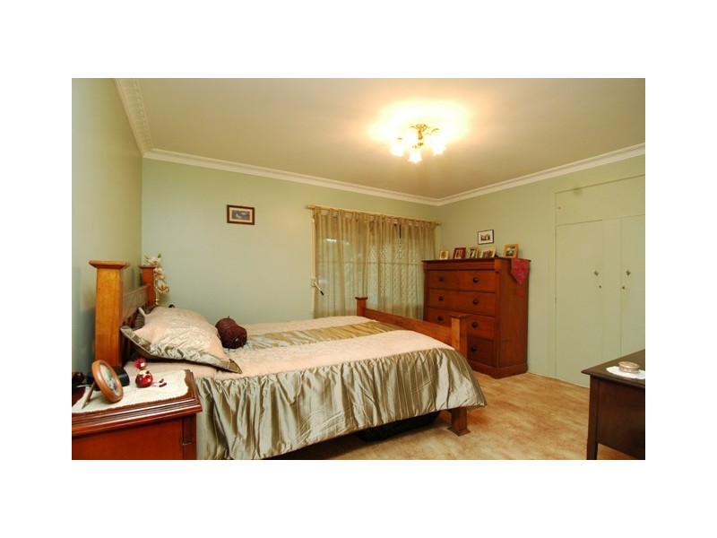 37 Crucis Street, Coorparoo QLD 4151