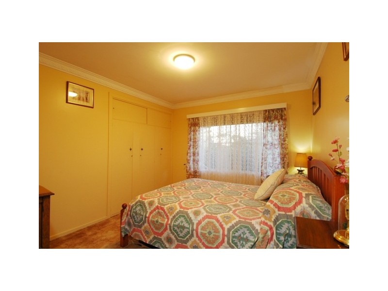 37 Crucis Street, Coorparoo QLD 4151