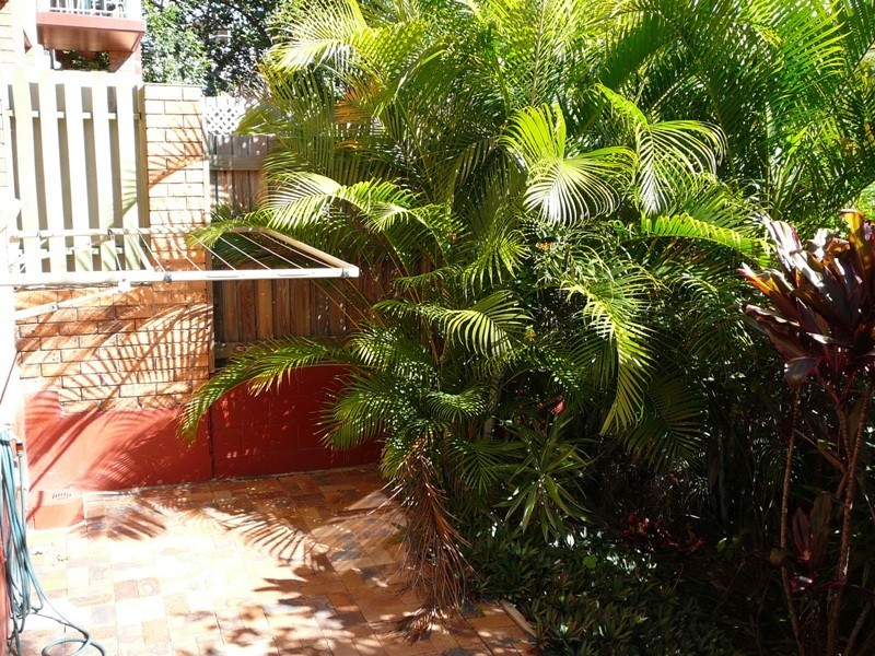 62 Macaulay Street, Coorparoo QLD 4151