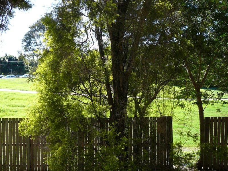 6/18 Jellicoe Street, Coorparoo QLD 4151