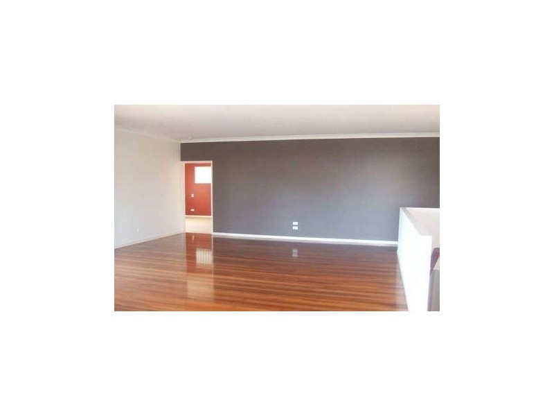 3 Ripon Street, Coorparoo QLD 4151