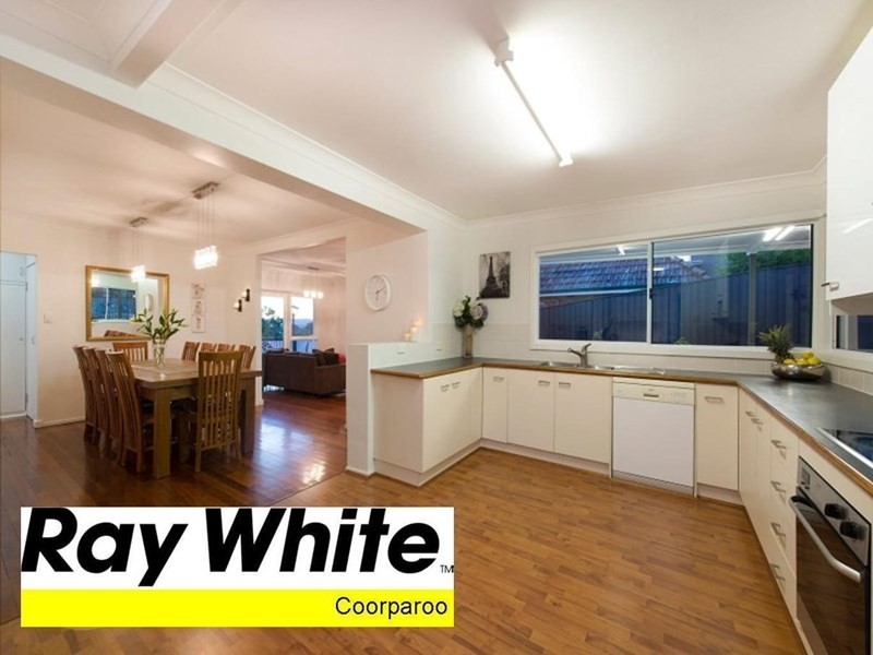 52 Sirius Street, Coorparoo QLD 4151