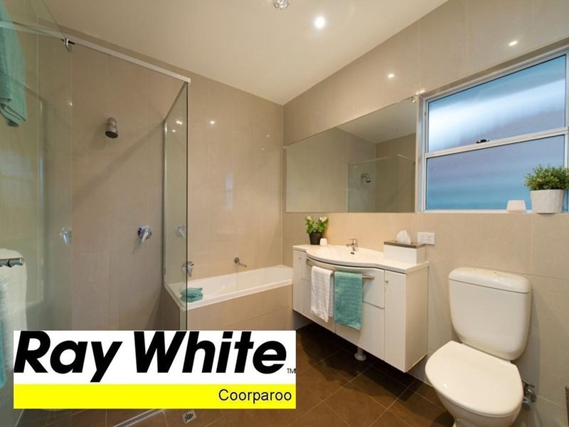 52 Sirius Street, Coorparoo QLD 4151