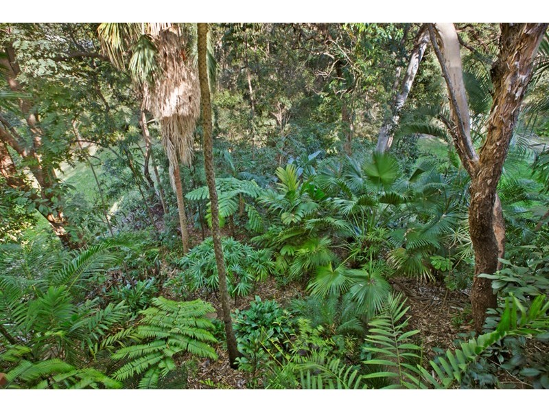 61 Suvla Street, Balmoral QLD 4171