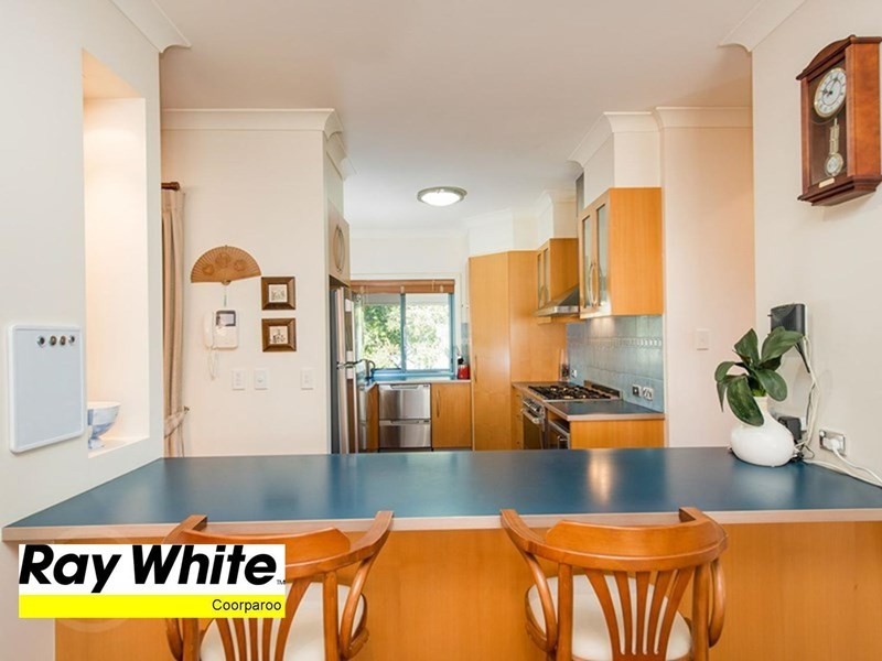 25 Carranya Street, Camp Hill QLD 4152