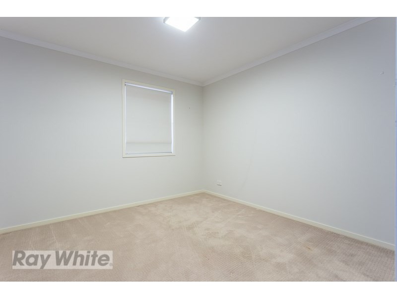 84 Pembroke Road, Coorparoo QLD 4151