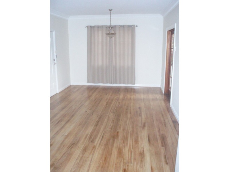 19 Esmonde Place, Coorparoo QLD 4151