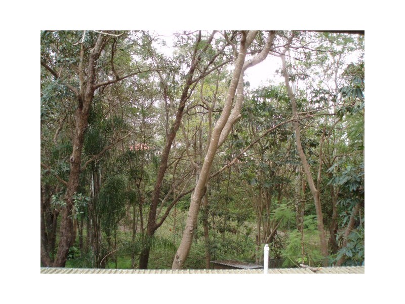 40 Mars Street, Coorparoo QLD 4151