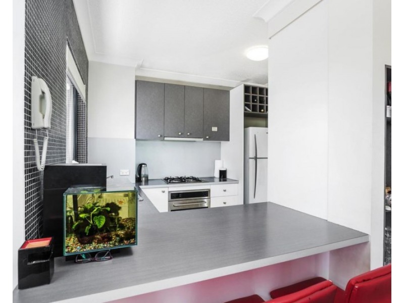 19/15 Kitchener Street, Coorparoo QLD 4151