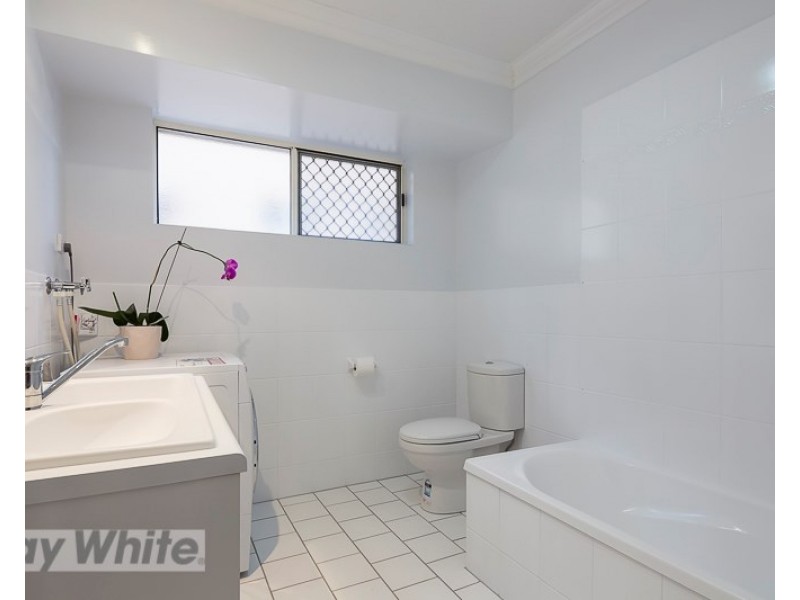 2/41 Rialto Street, Coorparoo QLD 4151
