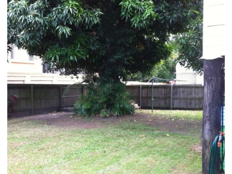 16 Birdwood Street, Coorparoo QLD 4151