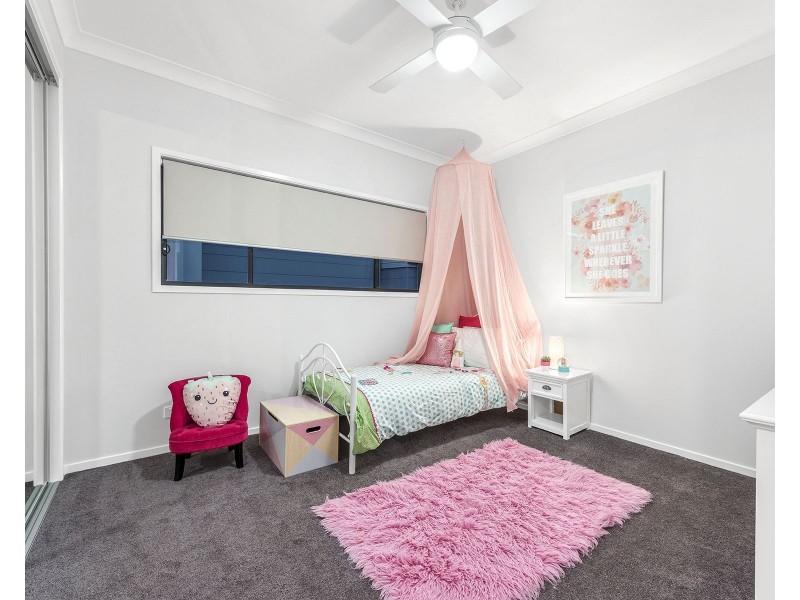 86 Raven Street, Camp Hill QLD 4152