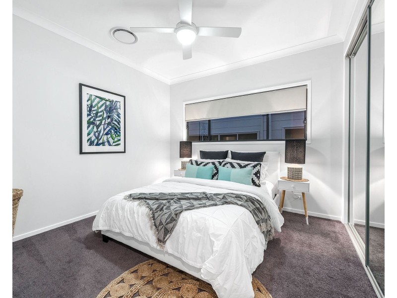 86 Raven Street, Camp Hill QLD 4152