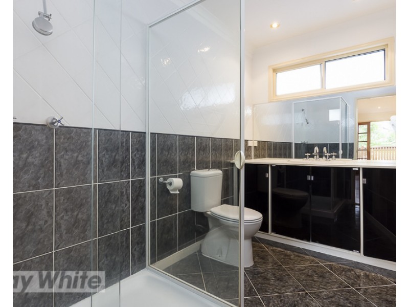 36 Samuel Street, Camp Hill QLD 4152