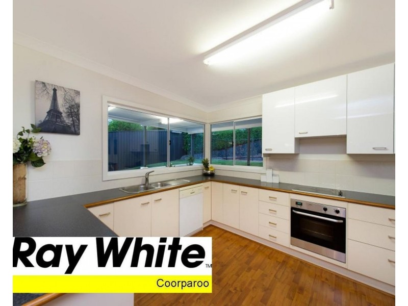 52 Sirius Street, Coorparoo QLD 4151