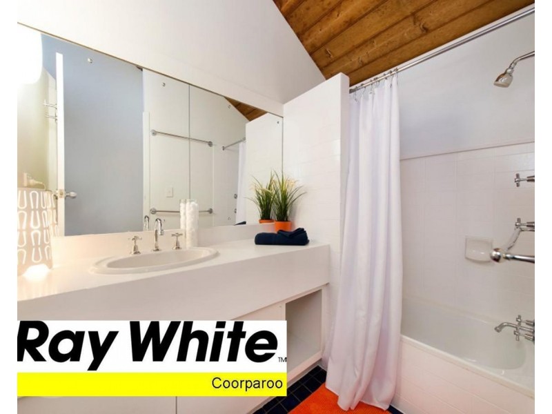 52 Sirius Street, Coorparoo QLD 4151