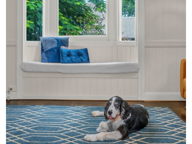 1/49 Hawthorne Road, Hawthorne QLD 4171