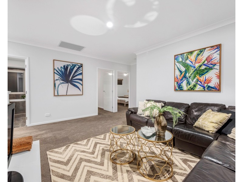 44 Pampling Street, Camp Hill QLD 4152