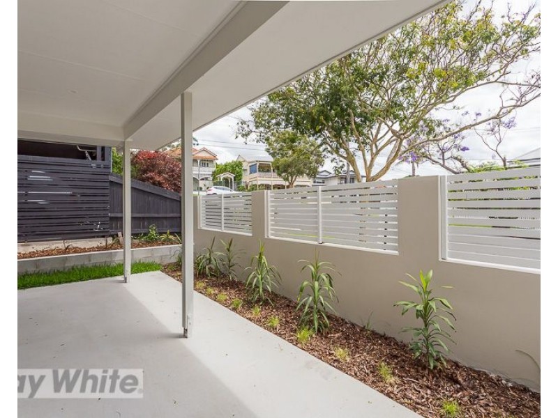 1/3 Newton Street, Coorparoo QLD 4151
