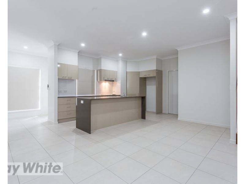 1/3 Newton Street, Coorparoo QLD 4151