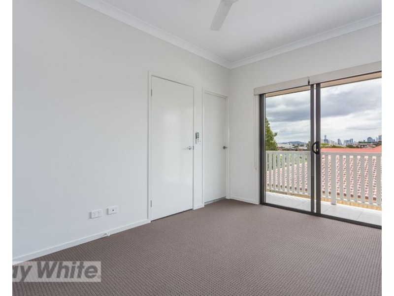 1/3 Newton Street, Coorparoo QLD 4151
