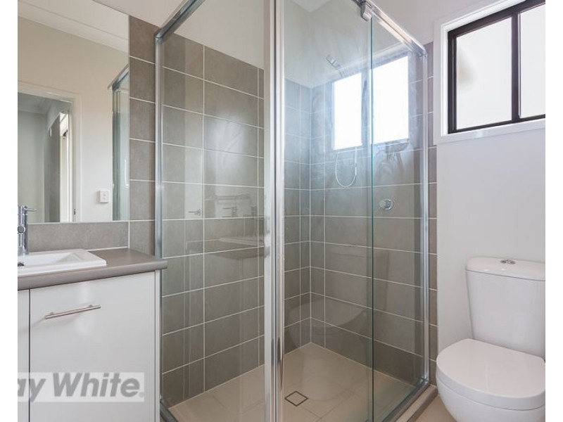 1/3 Newton Street, Coorparoo QLD 4151