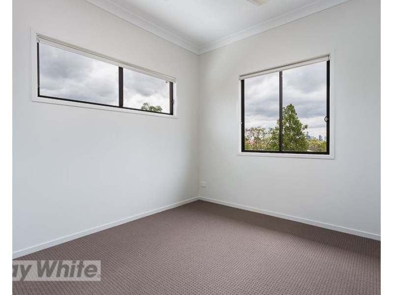 1/3 Newton Street, Coorparoo QLD 4151
