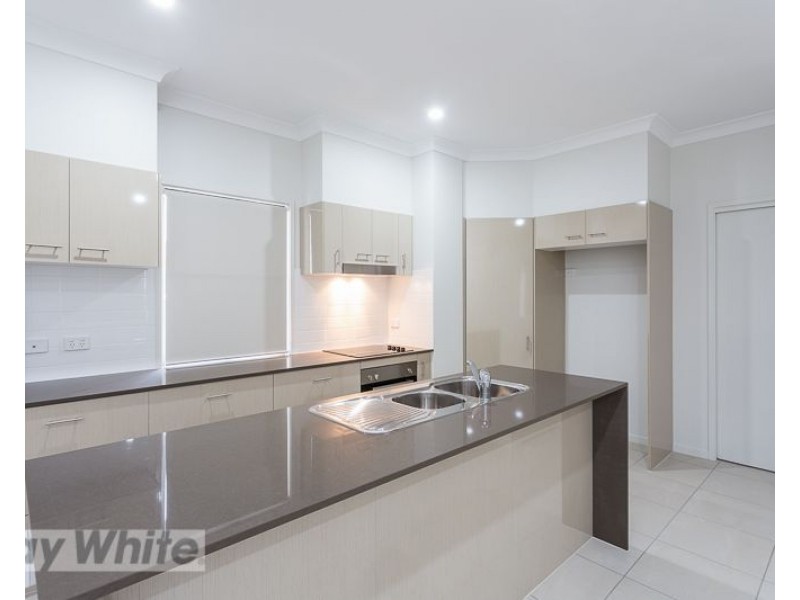 1/3 Newton Street, Coorparoo QLD 4151