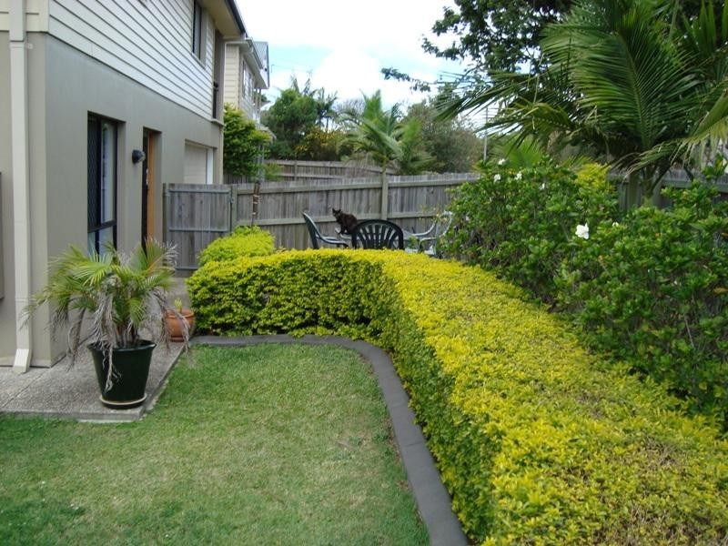 3/20 Robinson Street, Coorparoo QLD 4151