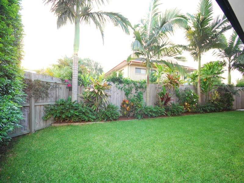 16 Glyn Street, Coorparoo QLD 4151