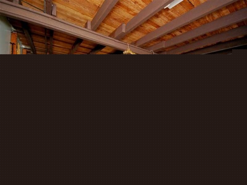 109 Lade Street, Coorparoo QLD 4151