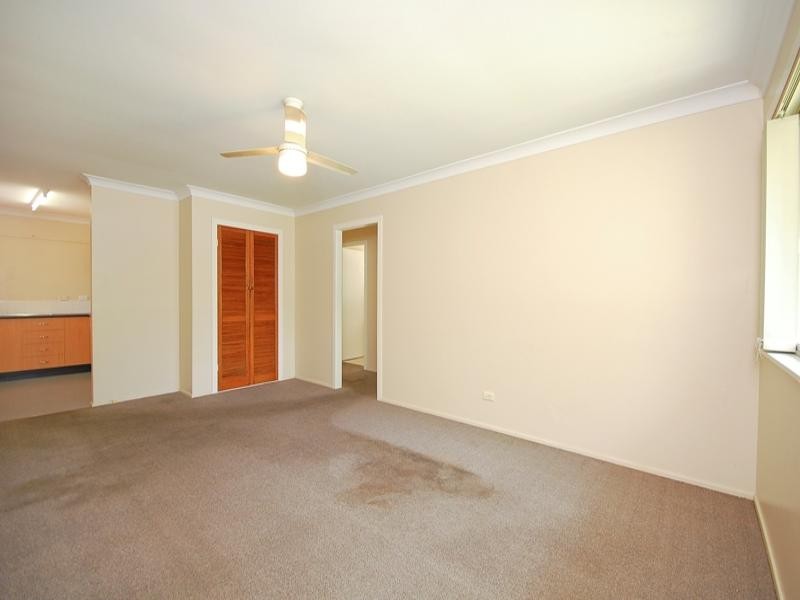 49 Derby Street, Coorparoo QLD 4151