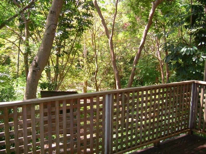 40 Mars Street, Coorparoo QLD 4151