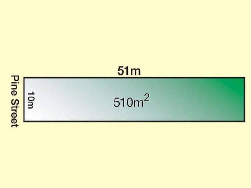 19 Pine Street, Bulimba QLD 4171