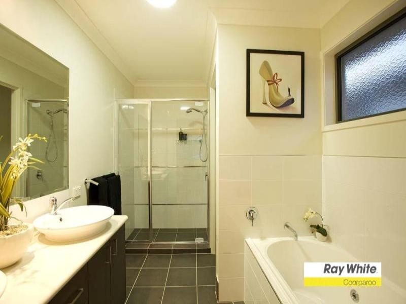 11 and 11a Tenth Avenue, Coorparoo QLD 4151