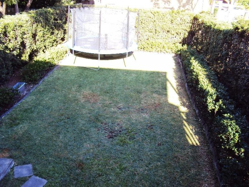 28 Baragoola Street, Coorparoo QLD 4151