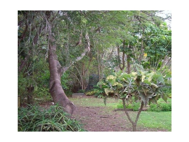 51 Springfield Street, Macgregor QLD 4109