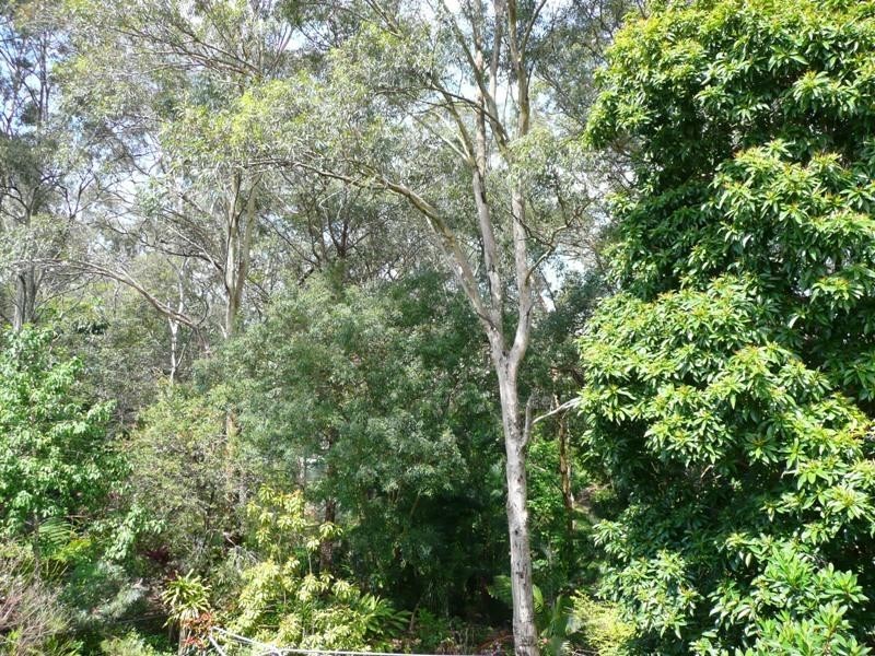 36 Octantis Street, Coorparoo QLD 4151