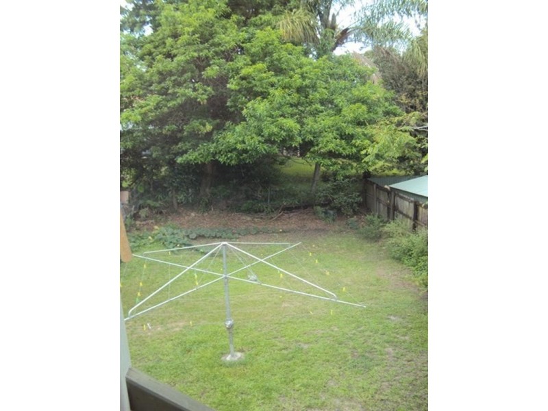 59 Mansfield Street, Coorparoo QLD 4151