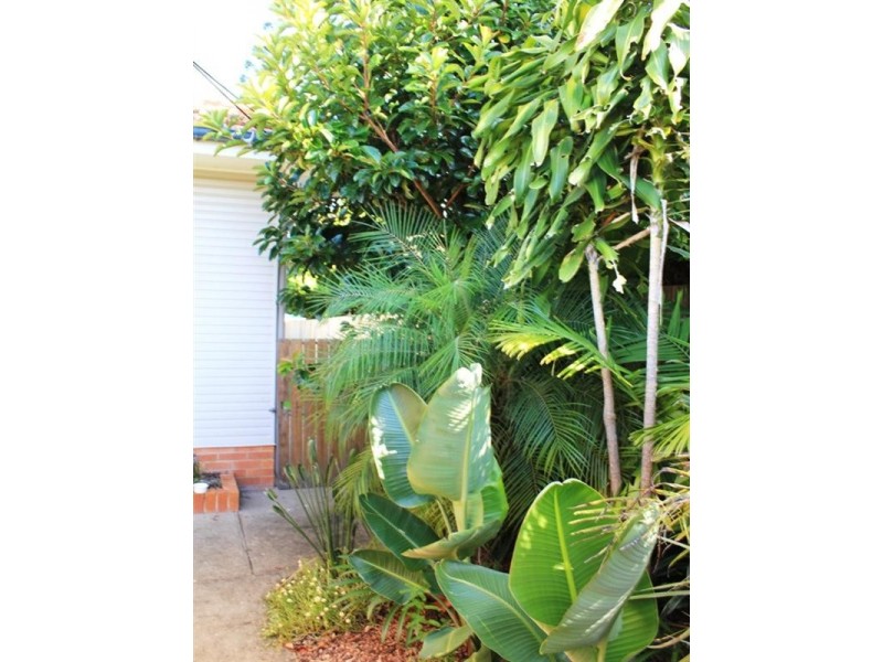 5 Woodhill Avenue, Coorparoo QLD 4151