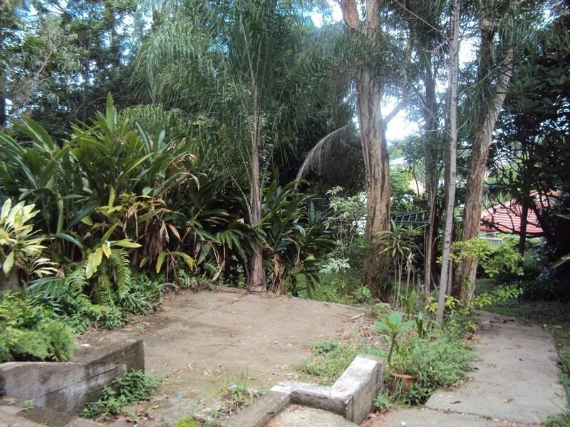 81 Chatsworth Road, Greenslopes QLD 4120