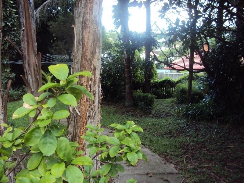 81 Chatsworth Road, Greenslopes QLD 4120