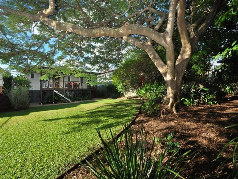 117 Macrossan Avenue, Norman Park QLD 4170