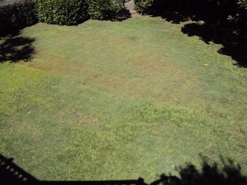 95 Milsom Street, Coorparoo QLD 4151