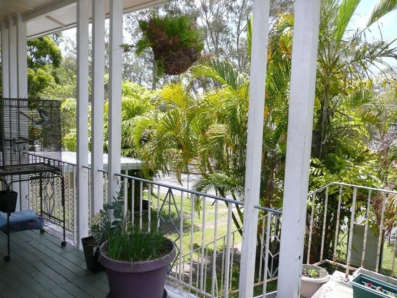 67 Canopus Street, Coorparoo QLD 4151