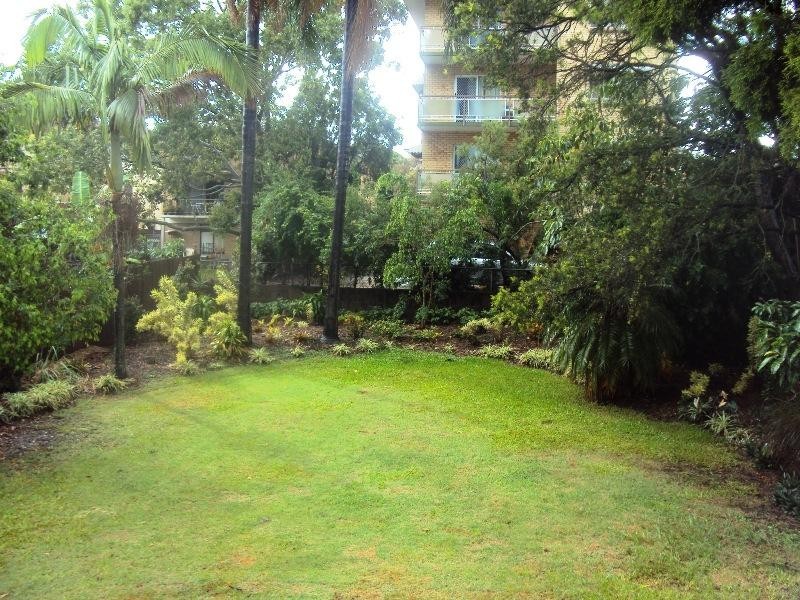 19 Haig Street, Coorparoo QLD 4151