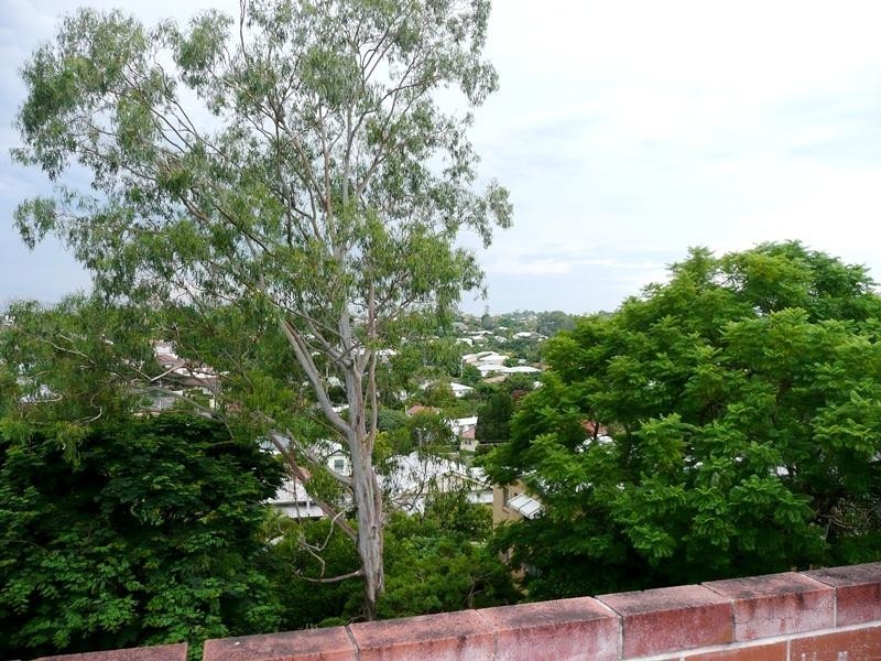 7/51 Kirkland Avenue, Coorparoo QLD 4151