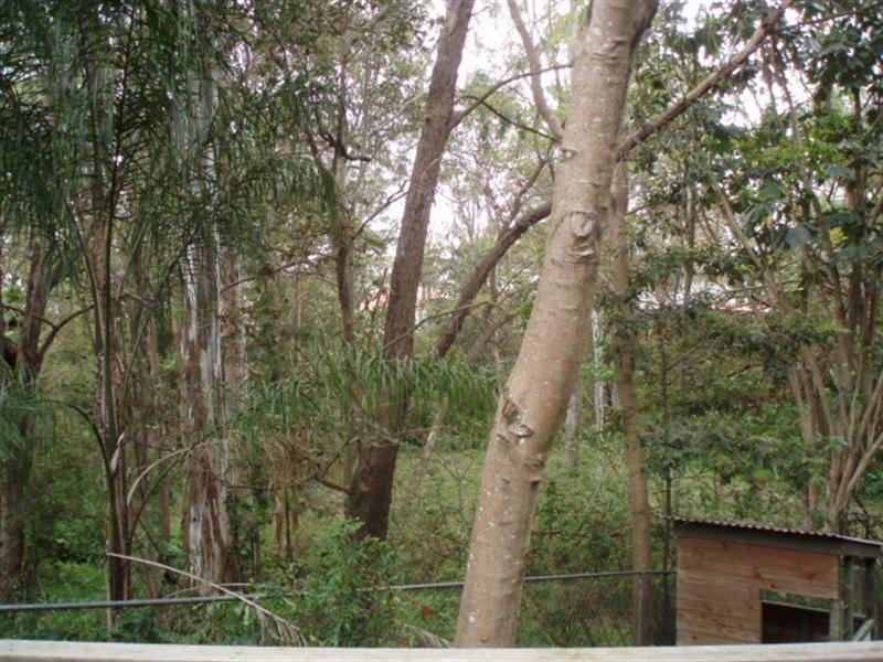 40A Mars Street, Coorparoo QLD 4151