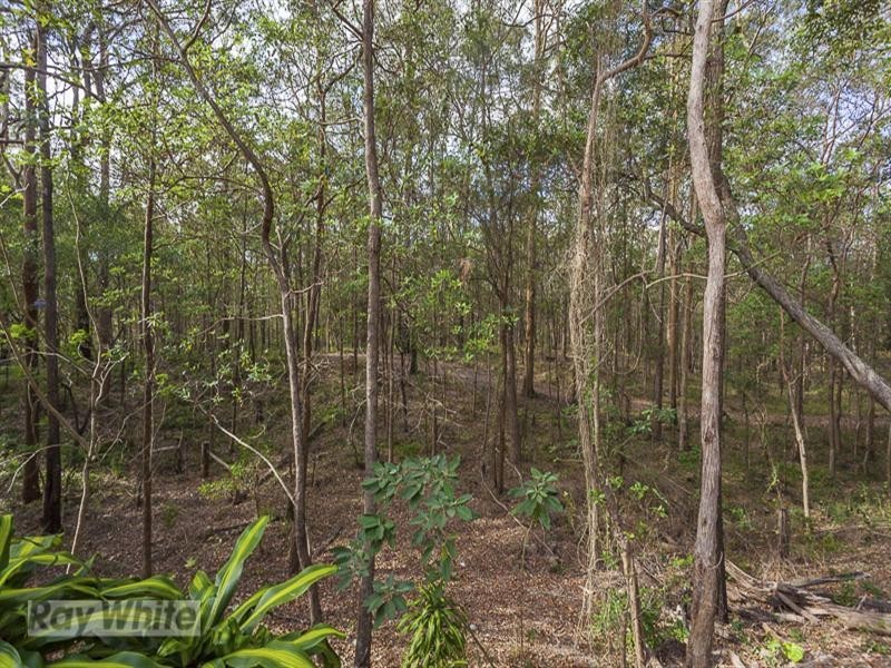 21 Lawnton Street, Daisy Hill QLD 4127